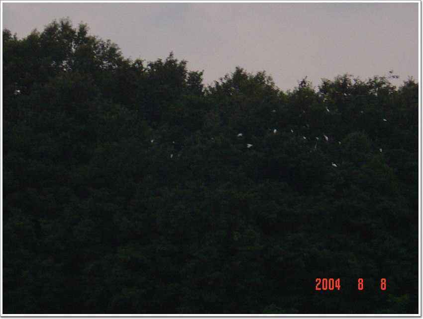 001%20030.jpg