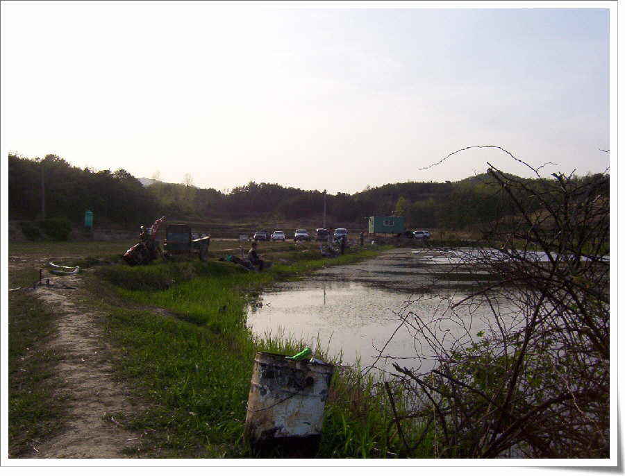 009.jpg