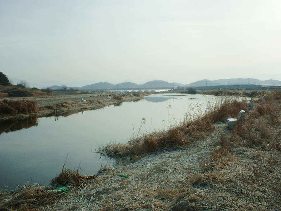 001.jpg
