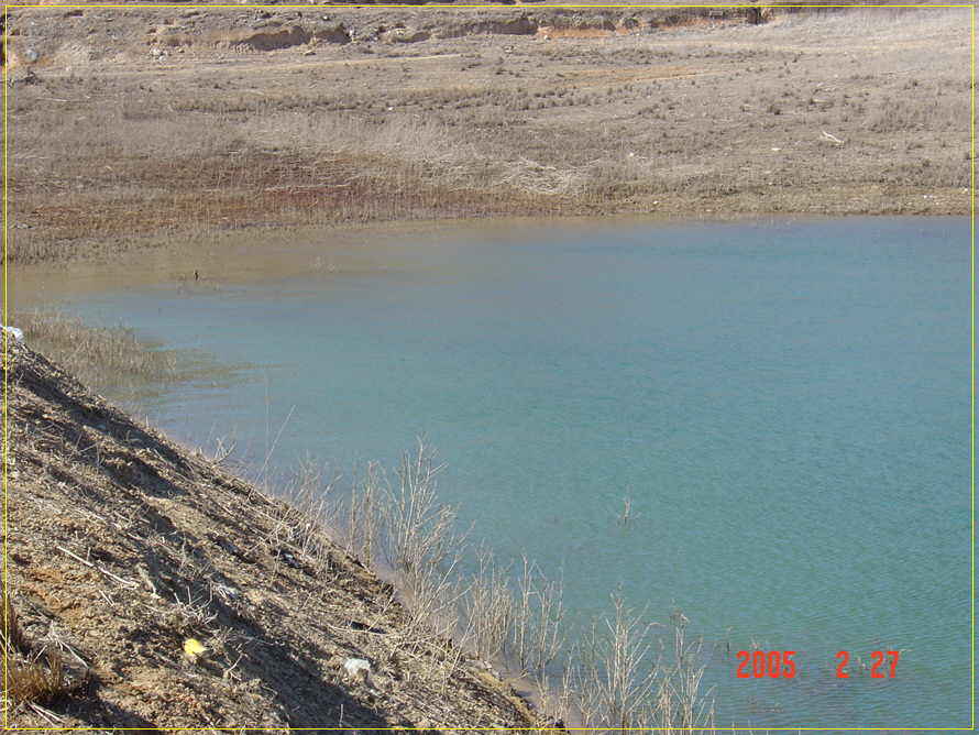 103.jpg