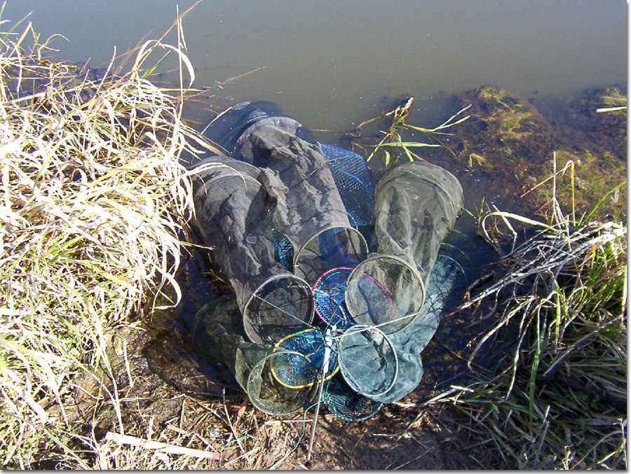 38.jpg