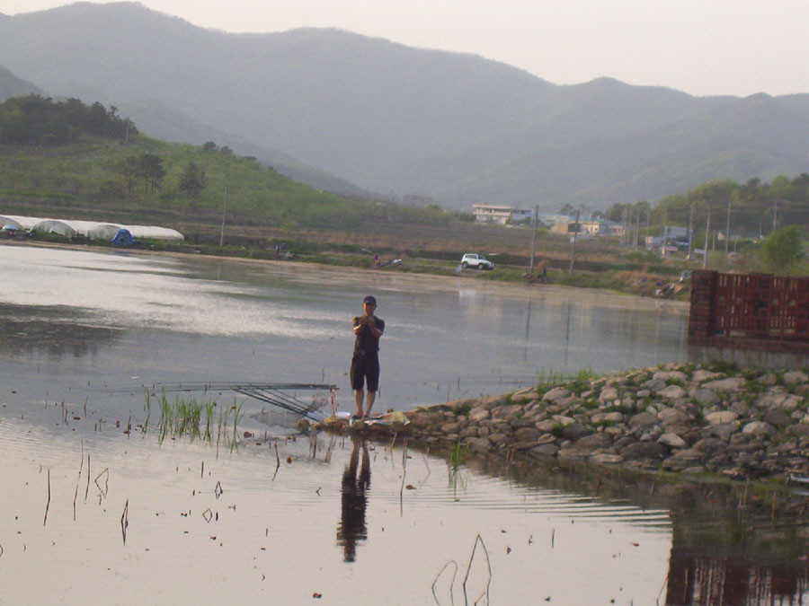 q003.jpg