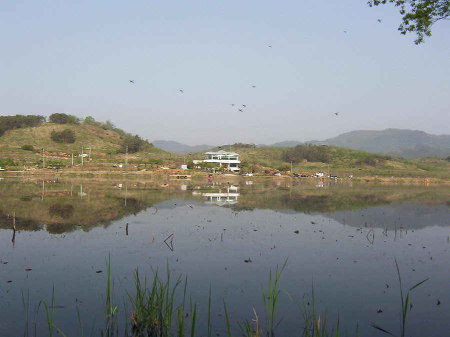 q004.jpg