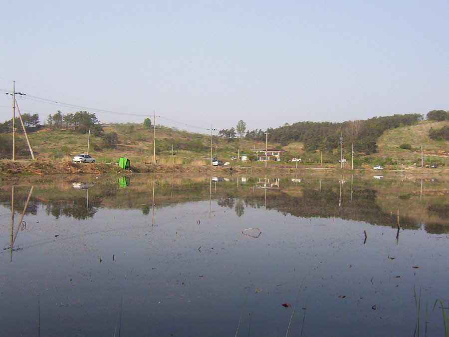 q005.jpg