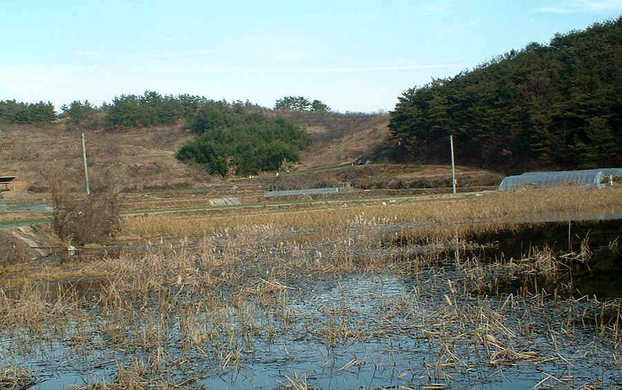 a001.jpg