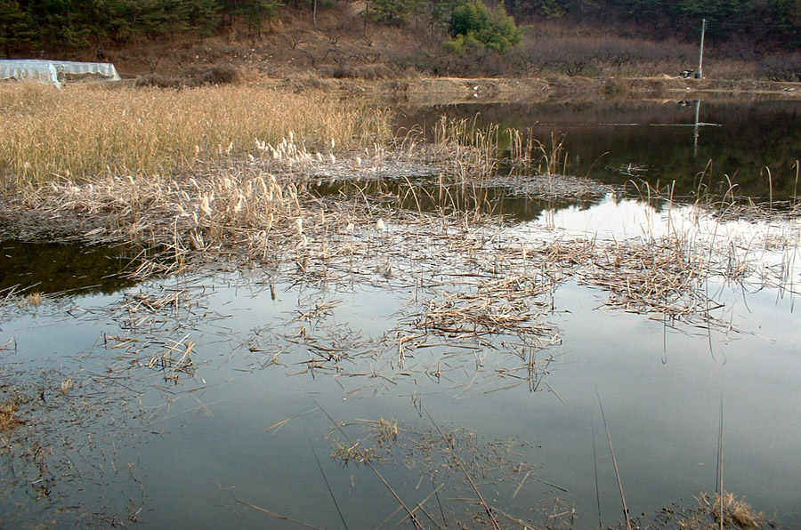 a005.jpg