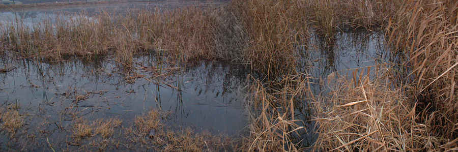a014.jpg