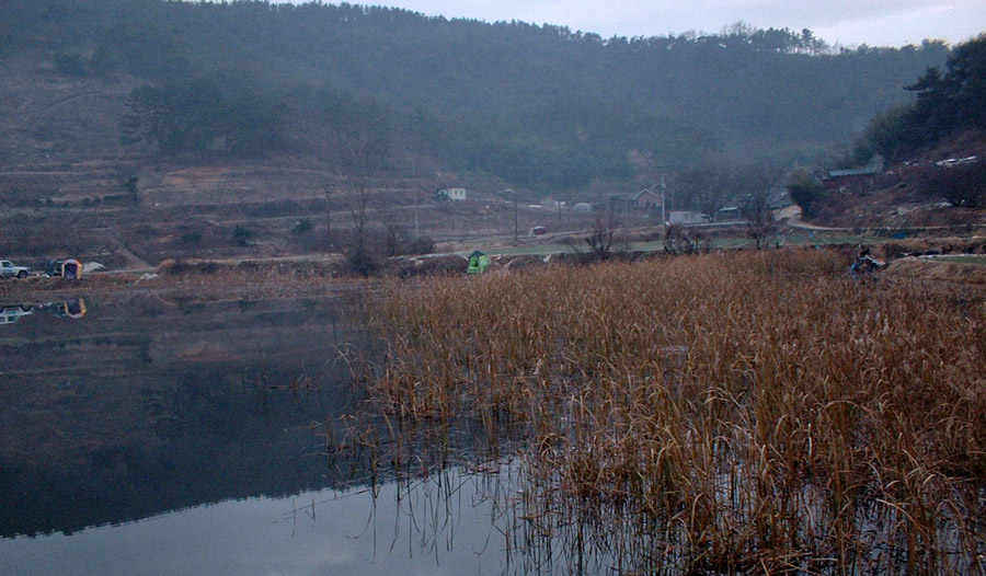 a015.jpg