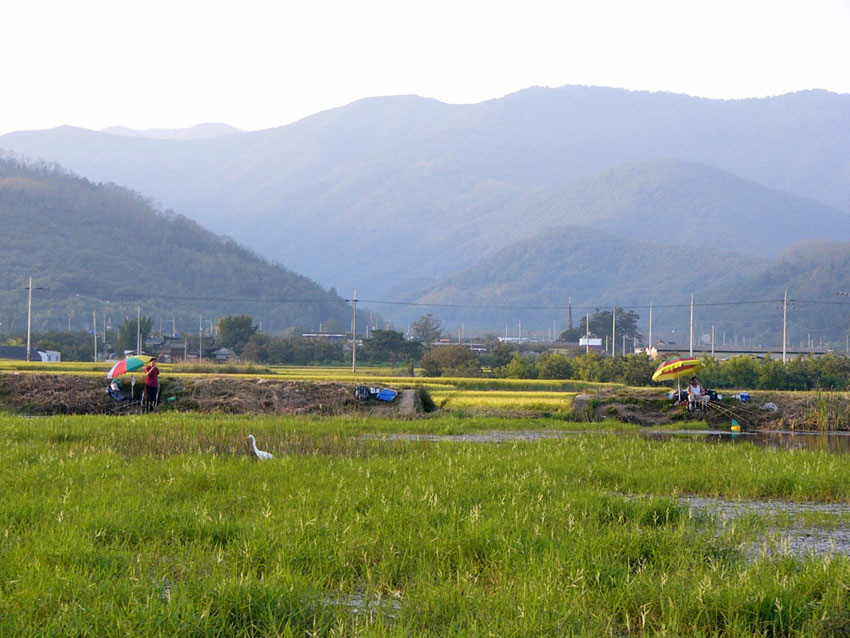 0928006.jpg