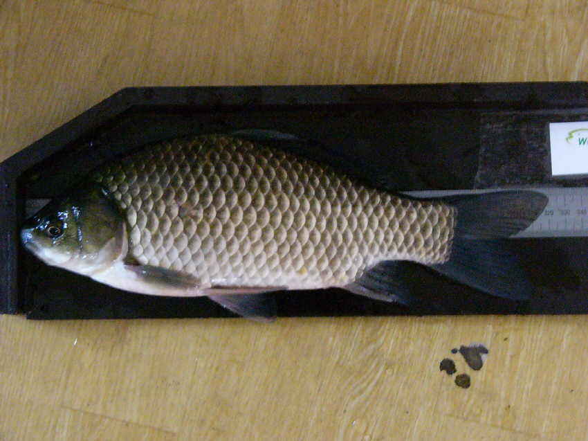 0928010.jpg