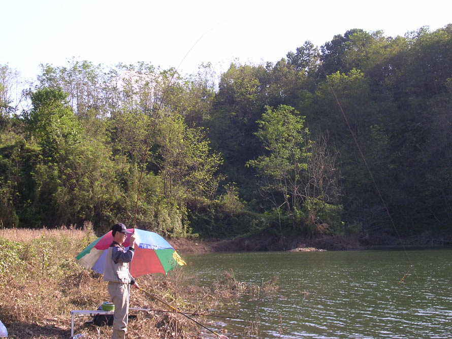 010.jpg
