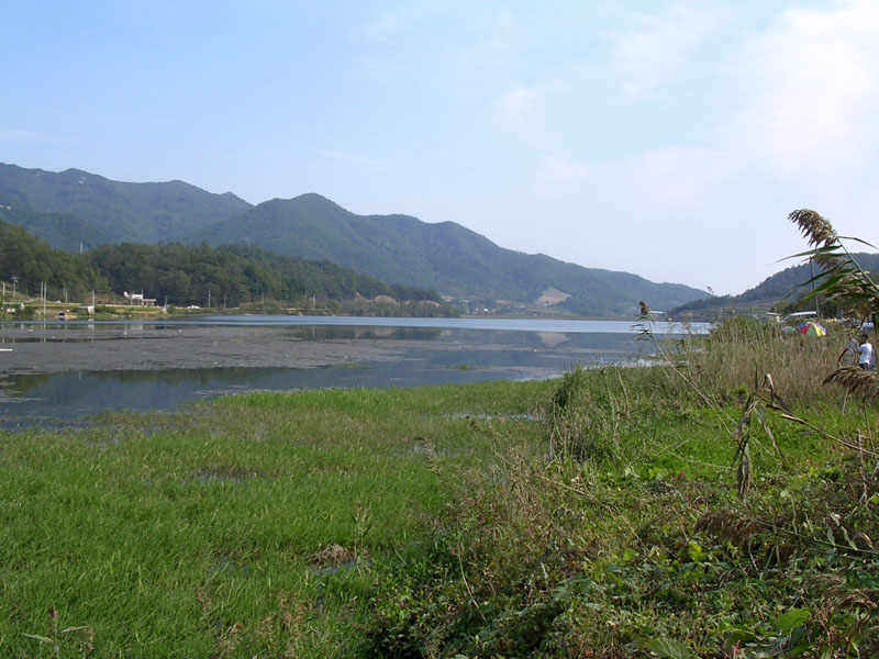 02.jpg