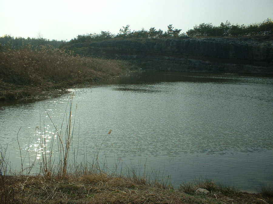 03.jpg