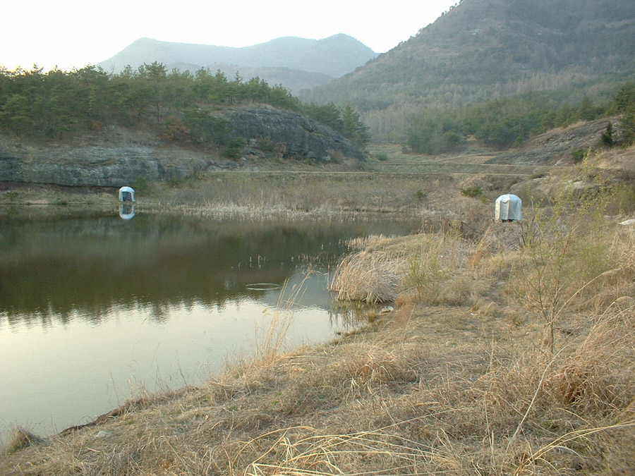 06.jpg