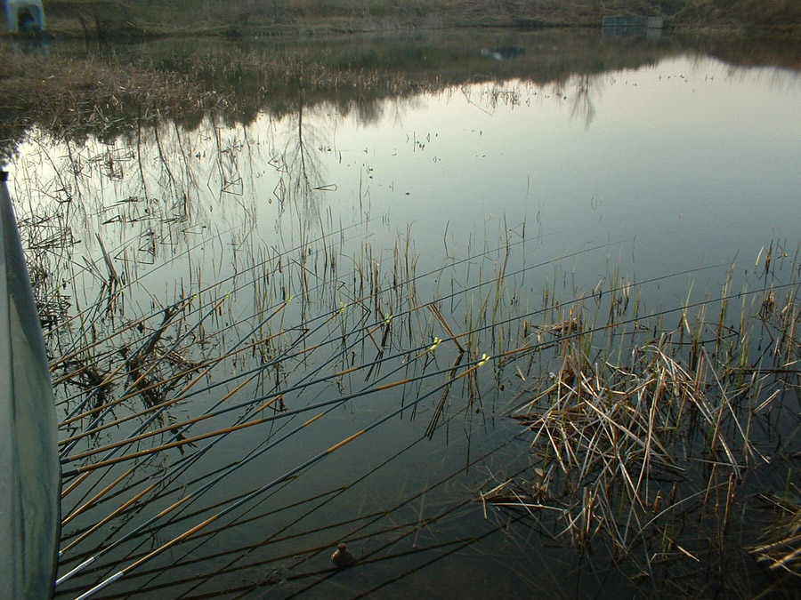 08.jpg