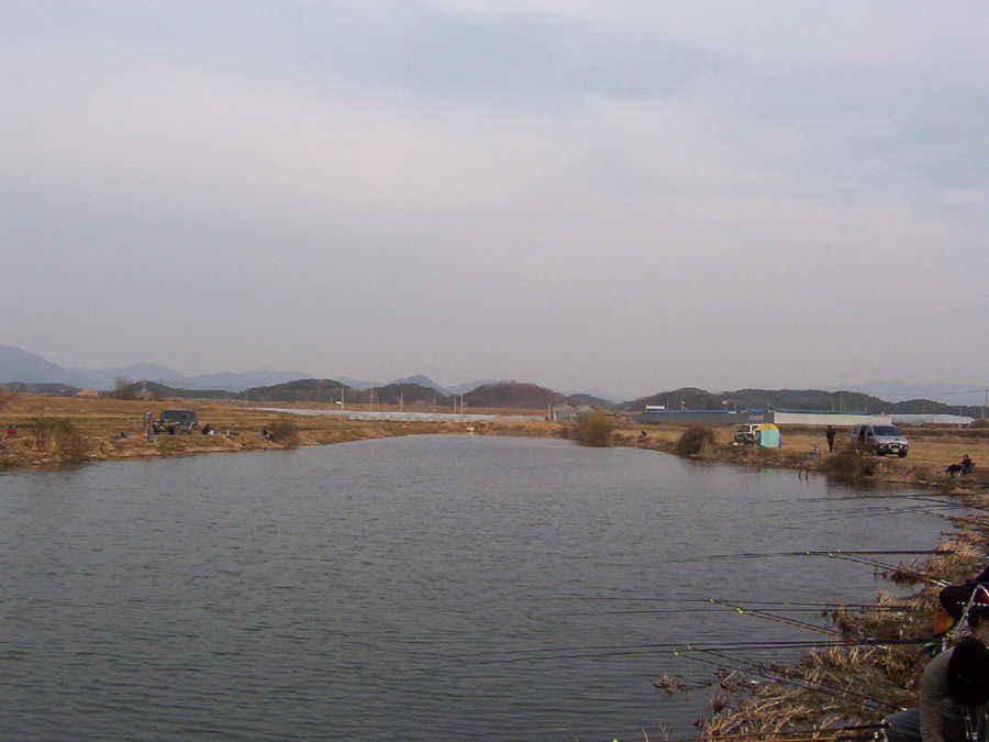 01.jpg