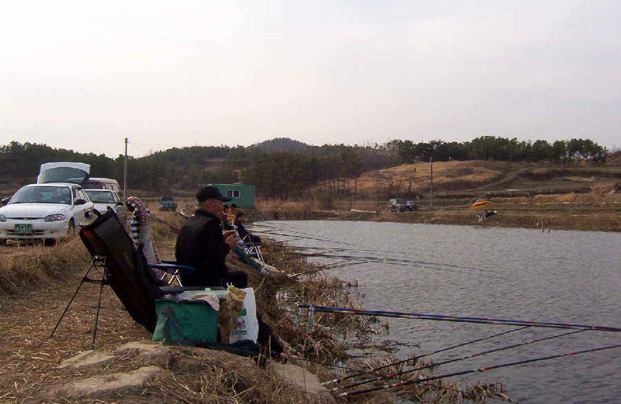 06.jpg
