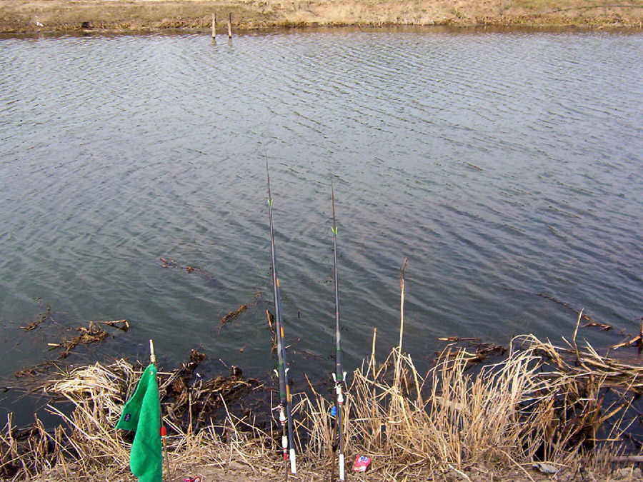 08.jpg