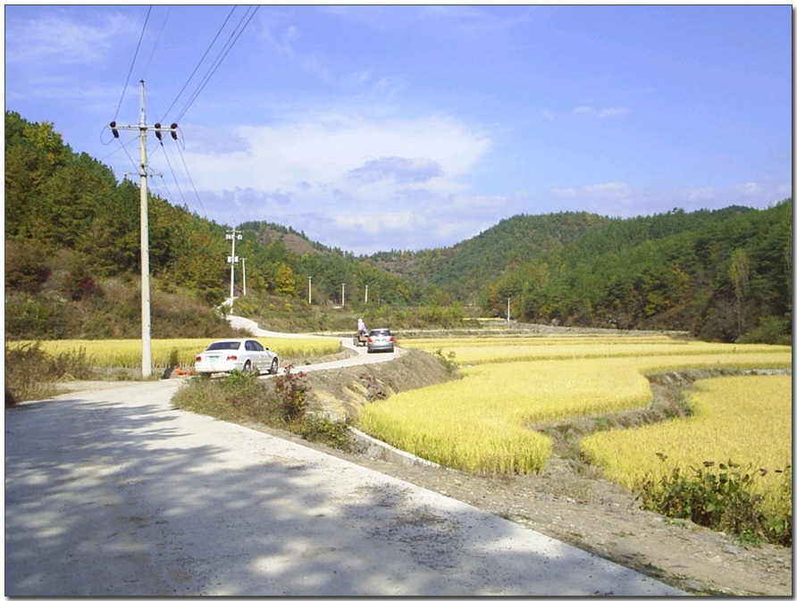 01.jpg