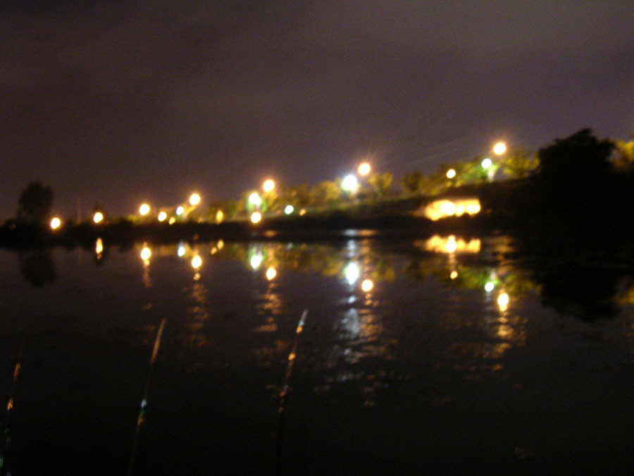004.jpg