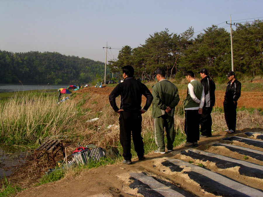 a8.jpg