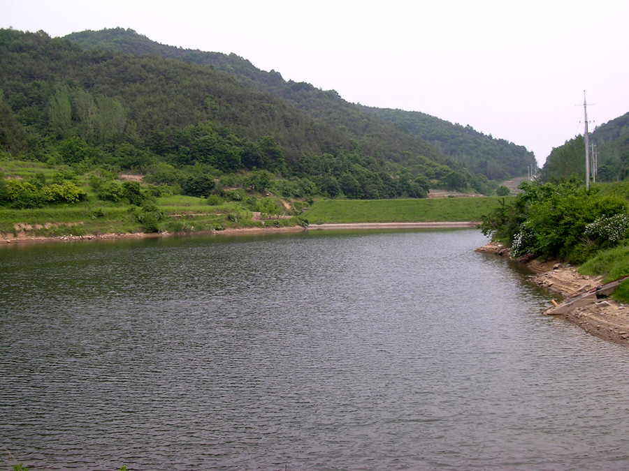 010.jpg