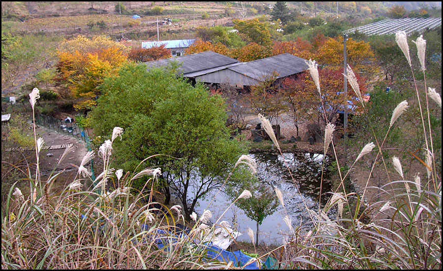 aa01.jpg