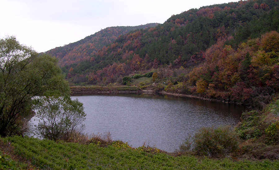 aa08.jpg