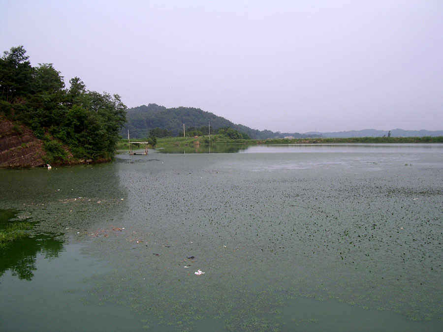 c01.jpg