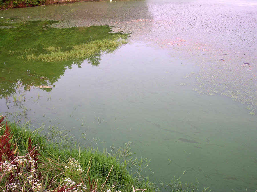 c02.jpg