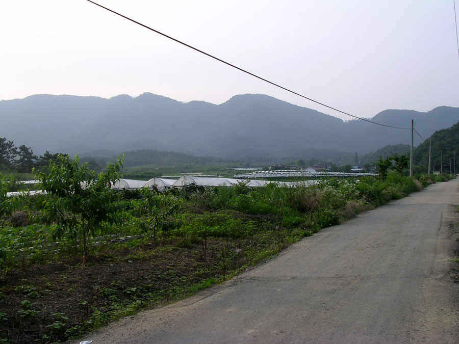 c03.jpg