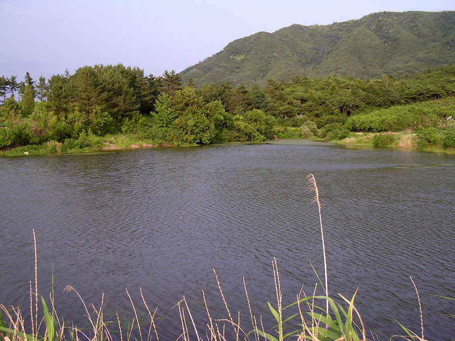 c05.jpg