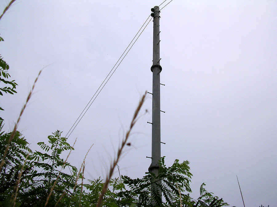 c06.jpg