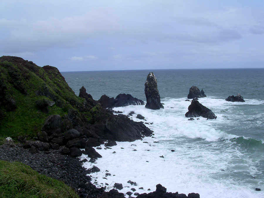 d01.jpg