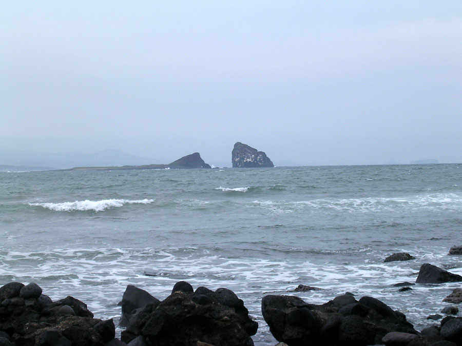 d03.jpg