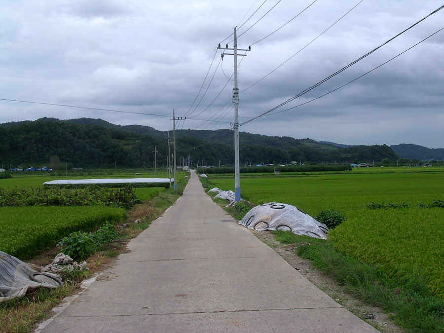 d06.jpg
