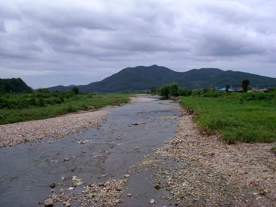 d07.jpg