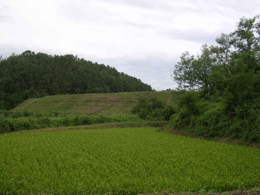 d08.jpg