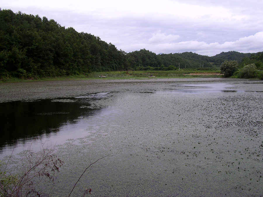 d09.jpg