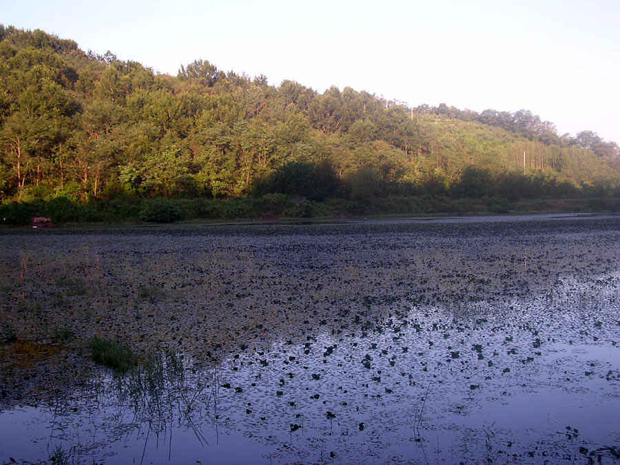 d27.jpg