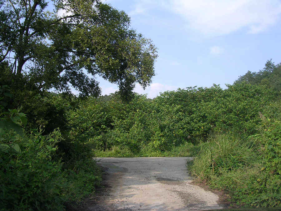 e04.jpg