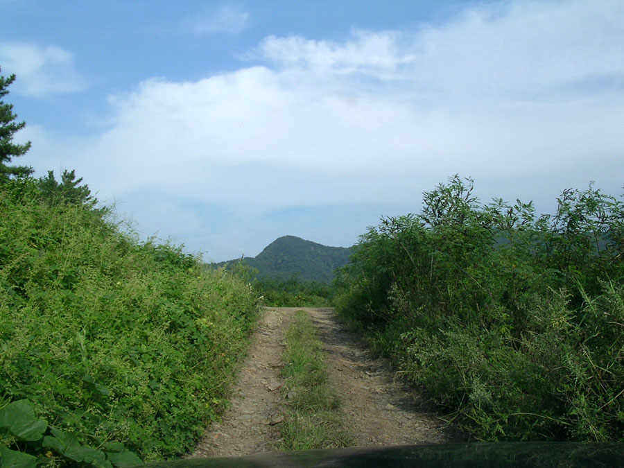 e07.jpg