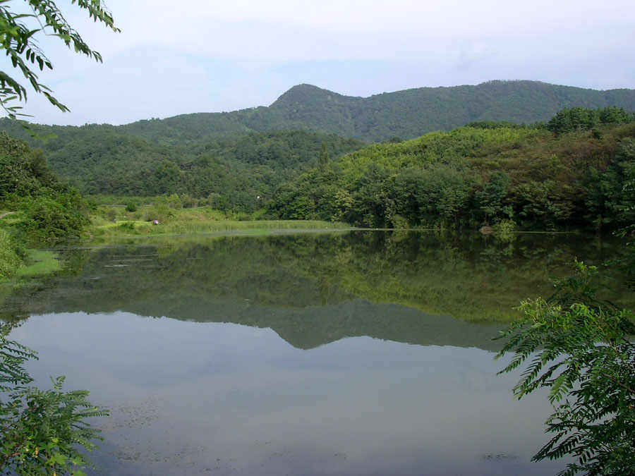 e08.jpg