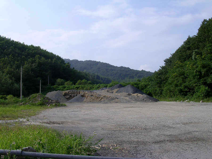 q01.jpg