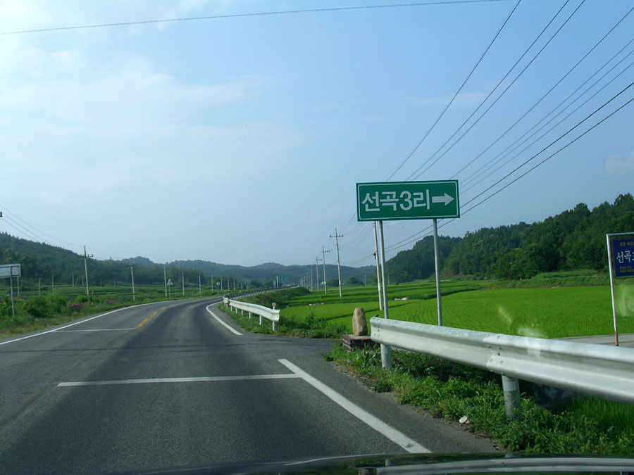 q03.jpg