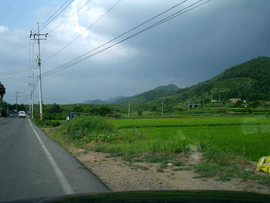 q04.jpg