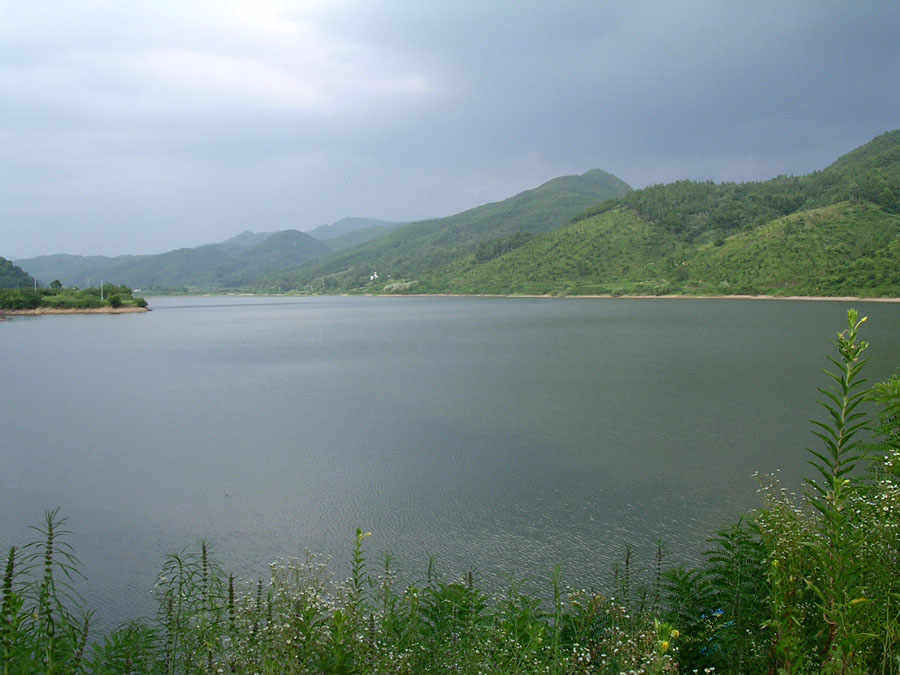 q05.jpg