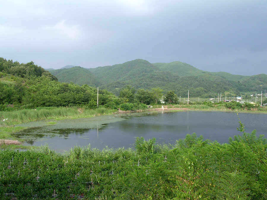 q08.jpg