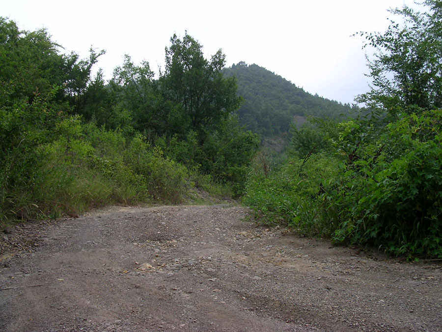 q09.jpg