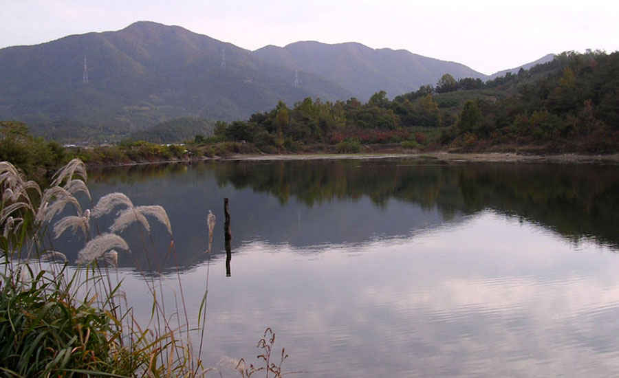 v01.jpg